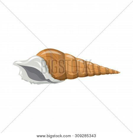 Vector Design Of Seashell And Mollusk Sign. Collection Of Seashell And Seafood Stock Vector Illustra