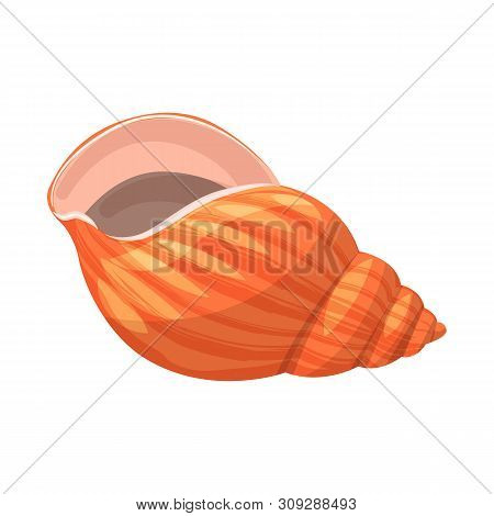Vector Design Of Seashell And Mollusk Symbol. Collection Of Seashell And Seafood Stock Vector Illust