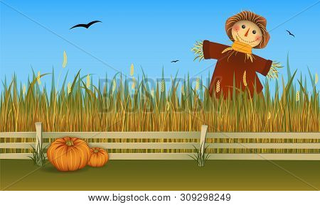 Autumn Harvest. Scarecrow On Field With Two Pumpkins. Vector Banner.