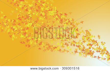 Celebration Color And Bogeh On Color Background