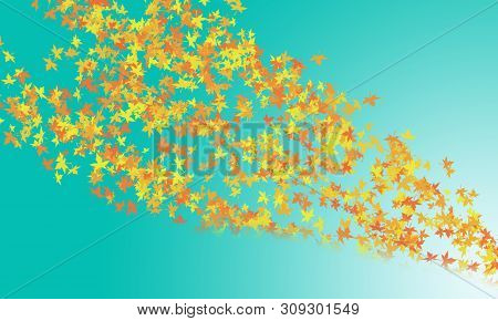 Celebration Color And Bogeh On Color Background