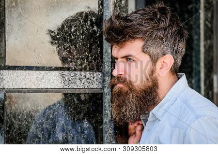 Beard Grooming. Beard Care. Masculinity And Manliness. Man Attractive Bearded Hipster Posing Outdoor
