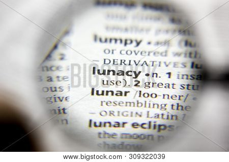 The Word Or Phrase Lunacy In A Dictionary