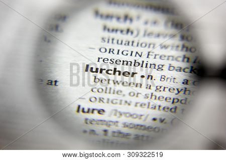 The Word Or Phrase Lurcher In A Dictionary