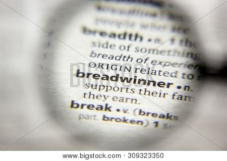 The Word Or Phrase Breadwinner In A Dictionary