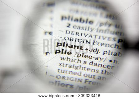 The Word Or Phrase Pliant In A Dictionary