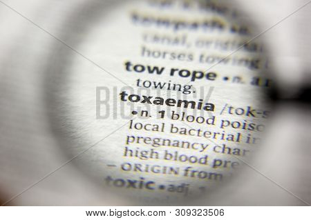 The Word Or Phrase Toxaemia In A Dictionary