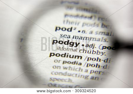 The Word Or Phrase Podgy In A Dictionary
