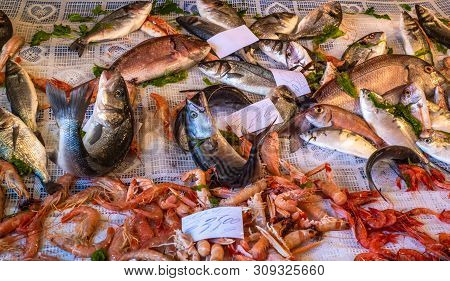 Seafood At La Pescheria Fish Market In Catania, Sicily, Italy