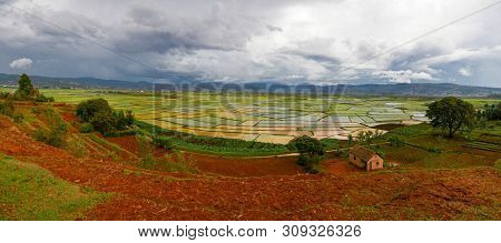Landscape With The Rice Fields And Onive River At Antanifotsy In Madagascar