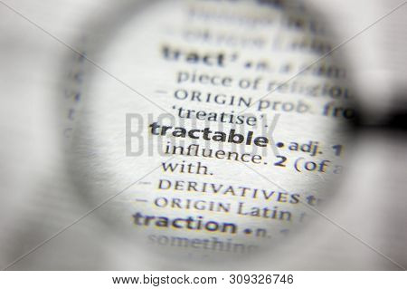 The Word Or Phrase Tractable In A Dictionary