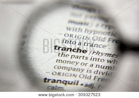 The Word Or Phrase Tranche In A Dictionary