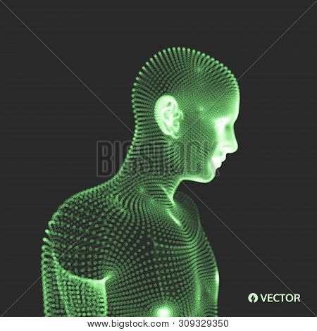 3d Model Of Man. Human Body. Design Element. Vector Illustration.