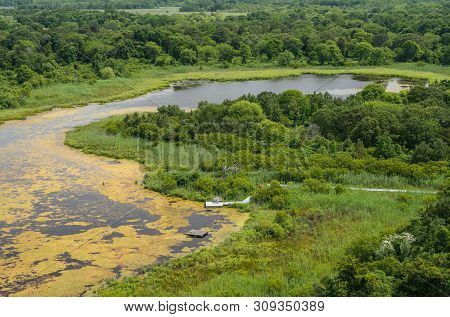 Lake And Bird Watching Sanctuary At Cape May Point In New Jersey