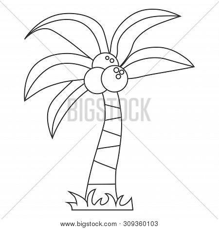 Contour Of Palm Tree With Coconut, Which Can Be Used As A Coloring. Isolated On White Background.  I