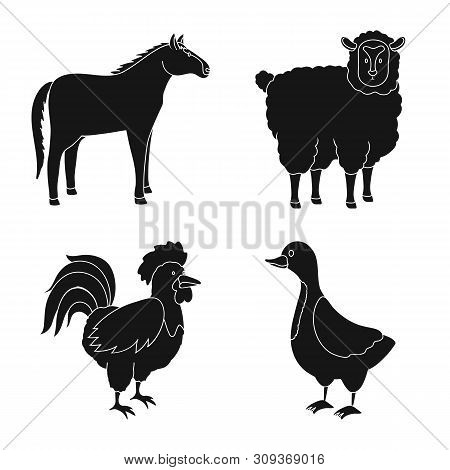 Vector Design Of Ranch And Organic Icon. Set Of Ranch And Food Vector Icon For Stock.