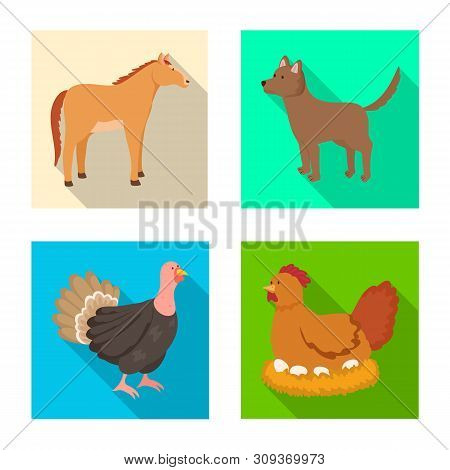 Vector Illustration Of Breeding And Kitchen Icon. Set Of Breeding And Organic Vector Icon For Stock.
