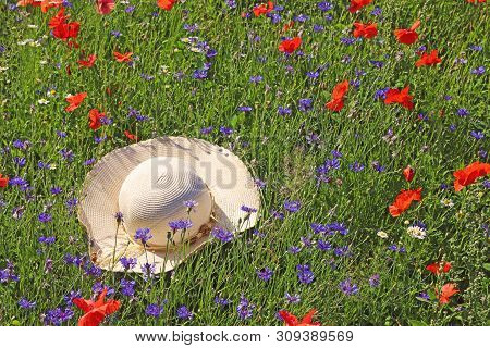Lady's Straw Hat Lying In A Colorful Wildflower Meadow