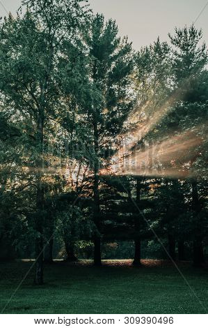 Bursting Light Rays, Light Beams Through The Trees In A Forest Or Park At Sunrise Near Saylorville L