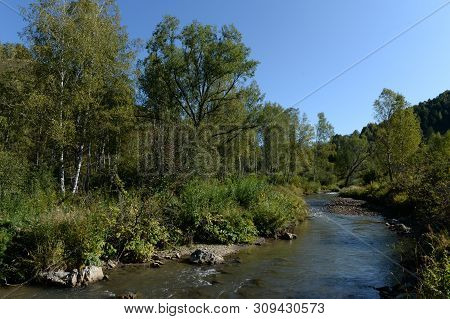 The Mountain River Yarovka On The Territory Of The Altai Territory In Western Siberia. Russia