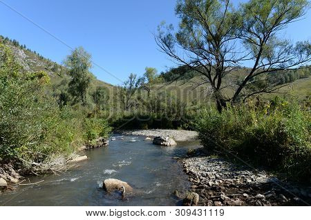 The Mountain River Yarovka On The Territory Of The Altai Territory In Western Siberia. Russia
