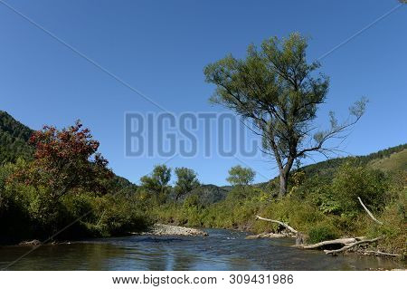 The Mountain River Yarovka On The Territory Of The Altai Territory In Western Siberia. Russia