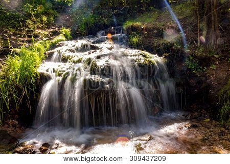 Forest Stream 