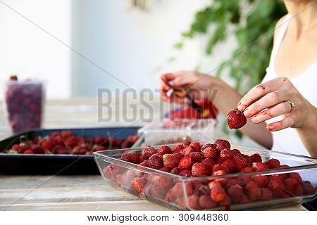 Ripe Red Strawberries Ready To Be Eaten Been Prepared In A Restaurant By A Woman Stock Photo