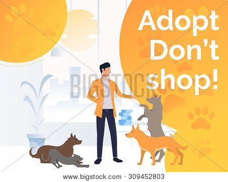Volunteer Taking Care Of Dogs And Cats In Animal Shelter. Homeless Pets, Help Concept. Poster Or Lan