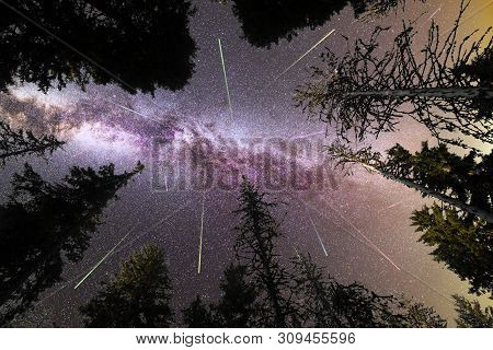 A View Of A Meteor Shower And The Purple Milky Way With Pine Trees Forest Silhouette In The Foregrou