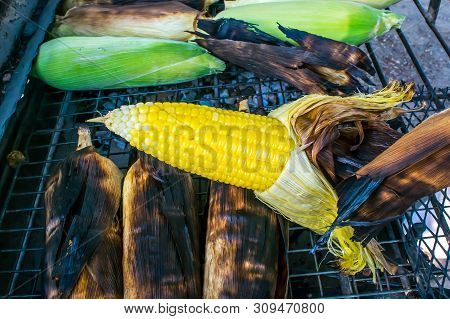 Grilled Hot Corn On The Cob Slathered With Butter And Salt In The Summer Time