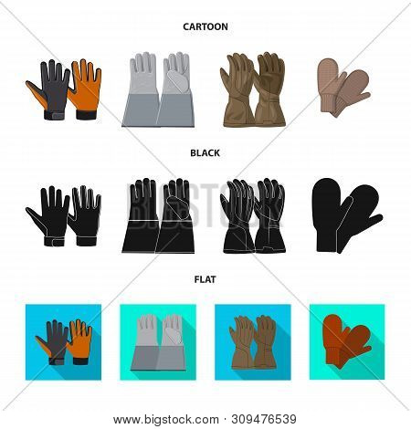 Vector Illustration Of Glove And Winter Logo. Collection Of Glove And Equipment Stock Vector Illustr