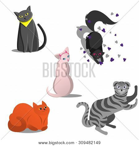Set Of Several Cats Of Different Breeds. Playful Funny Cats In The Style Of Cartoons. Cute Kawai Ani