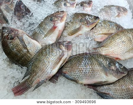 Top View Of Fresh Tilapia On Ice For Sale In The Fish Market At Thailand, Seafood As A Background ((