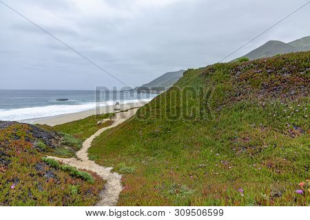 Beach Garrapata At Highway No 1 In Carmel, California, Usa