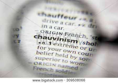 The Word Or Phrase Chauvinism In A Dictionary