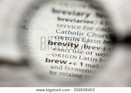 The Word Or Phrase Brevity In A Dictionary