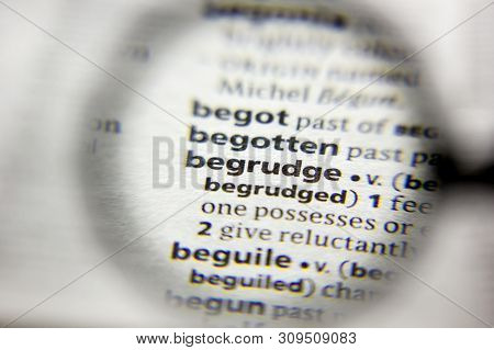 The Word Or Phrase Begrudge In A Dictionary