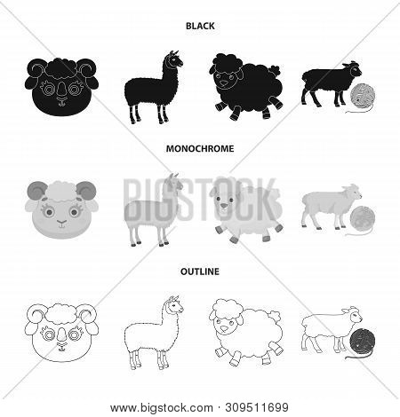 Vector Illustration Of Sheep And Goat Icon. Set Of Sheep And Happy Stock Vector Illustration.