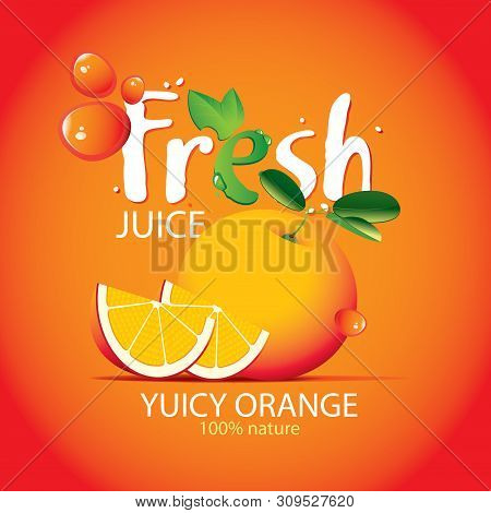 Vector Banner Label Vector Photo Free Trial Bigstock