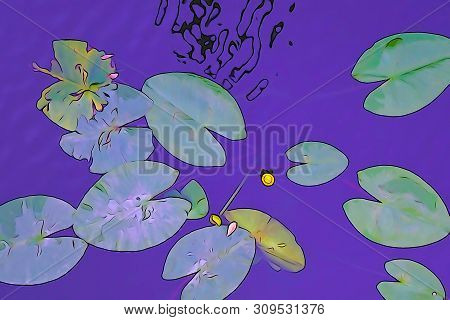 Big Leaves On The Water Shot In Illustrative Mode