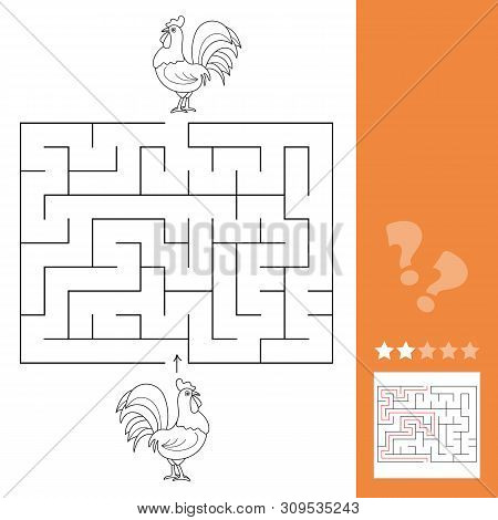 Game Chicken Maze Find Way To Each Other - Cock Rooster Bird.