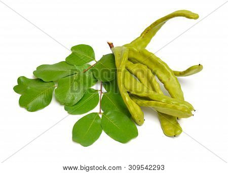 Green Carob Pods With Leaves. Isolated On White Background