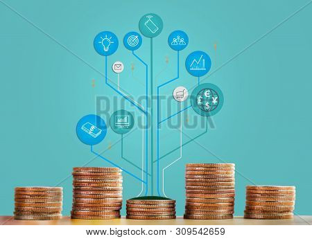 Coins Stack And Tree Infographic Showing Growht Of Business And Trade. The Concept Of Business Growt