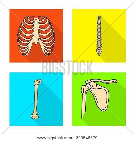 Vector Illustration Of Bone And Skeleton Logo. Set Of Bone And Human Stock Vector Illustration.