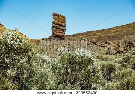 Fowering Gorse Bushes In The Foreground And Blurred Background With Cinchado Rock Near Volcano Teide
