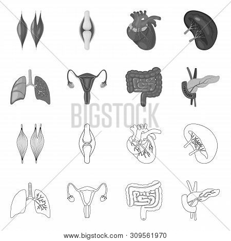 Isolated Object Of Biology And Scientific Icon. Set Of Biology And Laboratory Vector Icon For Stock.