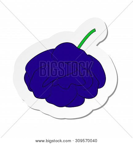 Vector Illustration, Sticker Of Blue Gloxinia Flower In Flat Cartoon Style Isolated On White Backgro