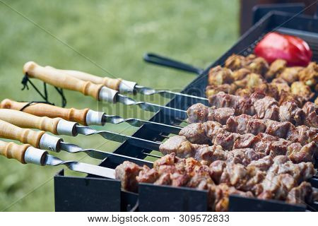 Marinated Barbecue Shashlik Kebab With Curry Winglets And Roasted Pepper In Chargrill Semifinished O