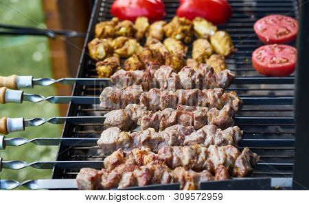 Marinated Barbecue Shashlik Kebab With Curry Winglets And Roasted Pepper And Tomatoes In Chargrill S
